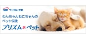 バナー01